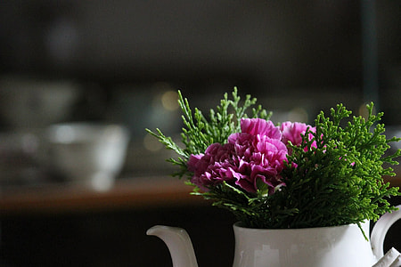 pink peonies in white ceramic teapot thumbnail