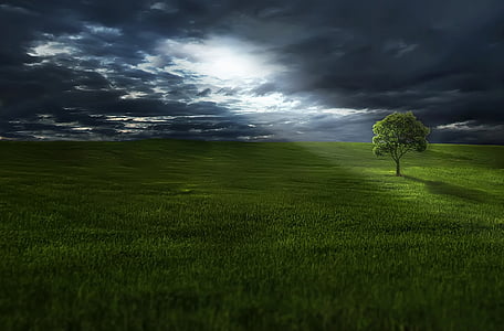 landscape view of greenfield with tree thumbnail