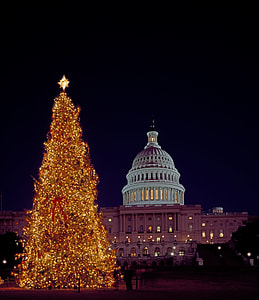 Christmas Tree, Capitol Building thumbnail