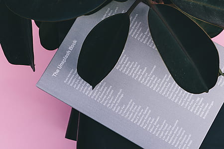 The Unsplash Book beside green leafed plant thumbnail