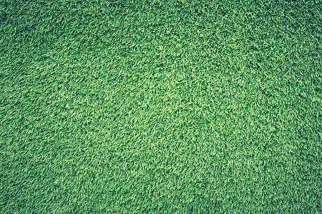 Green Grass Lawn thumbnail