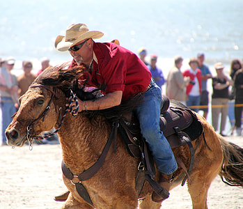 man riding horse on outdoors during daytime thumbnail