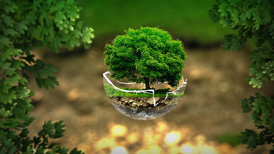 green leaf pet tree thumbnail
