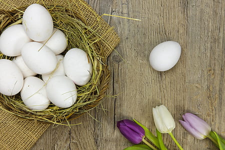 white eggs on nest beside flowers thumbnail