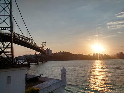 brown concrete bridge with city ahead during daytime thumbnail