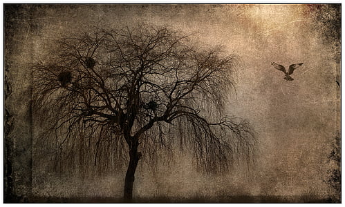 soaring bird beside tree painting thumbnail