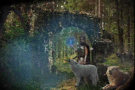 animals in forest thumbnail