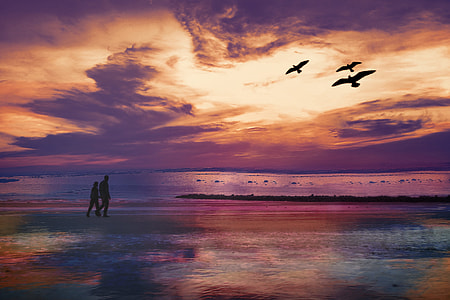 silhouette of two people and three birds under purple and orange sunset near beach thumbnail