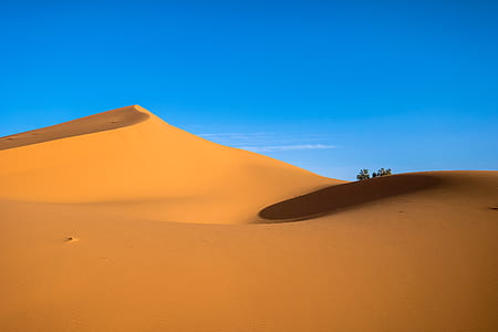 brown desert thumbnail