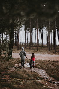 person in gray hoodie holding dog leash near girl in red top walking on pathway near trees thumbnail