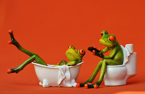 two green frogs in bathtub and toilet bowl thumbnail