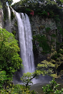 waterfalls between trees at daytime thumbnail