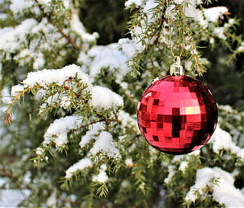 red bauble hang on tree thumbnail