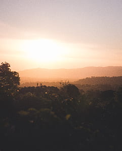 forest and mountain during sunset thumbnail