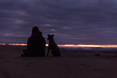silhouette of person sitting next to a dog at the seashore thumbnail
