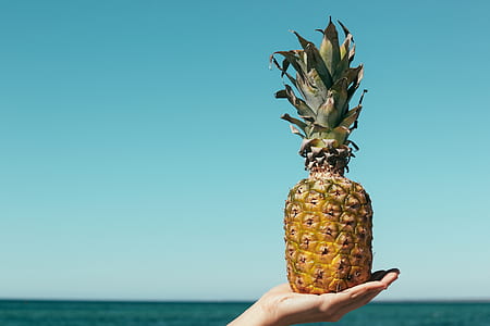 person holding pineapple thumbnail
