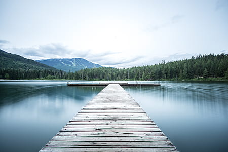 brown wooden dock under the body of water thumbnail