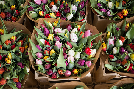 photo of flower arrangement in boxes thumbnail