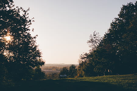 couple sitting on grass near tree thumbnail