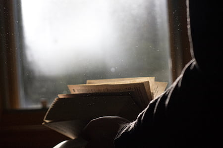 person reading book in front of window thumbnail