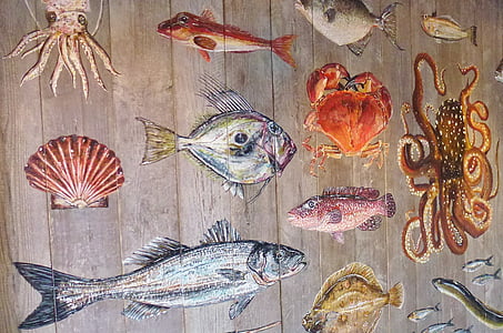 variety of sea creatures mural thumbnail