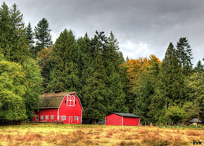 red barn surrounded by trees thumbnail