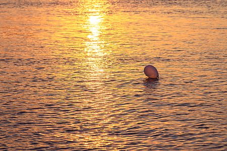 body of water during sunset thumbnail