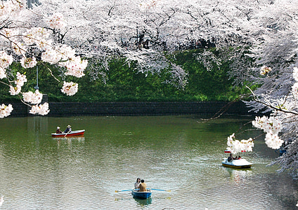 people riding on row boat thumbnail
