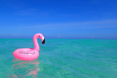 pink inflatable floating flamingo on body of water thumbnail