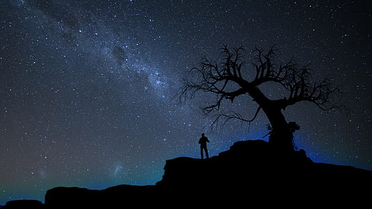 person standing near tree thumbnail