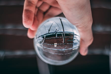Person Holding Glass Ball thumbnail