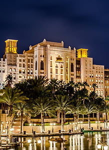 palm trees near body of water thumbnail