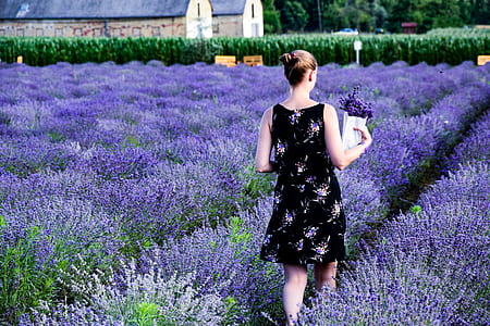 woman standing on the middle of bed of lavender in distant of two buildings thumbnail