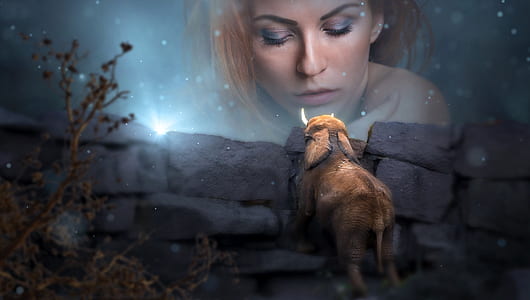 brown elephant and woman face photo thumbnail