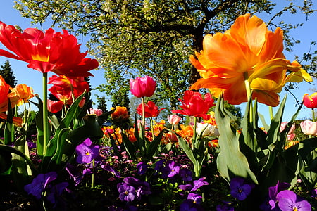 assorted-color flowers thumbnail