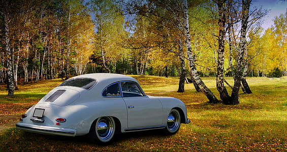 white coupe near tree during daytime thumbnail