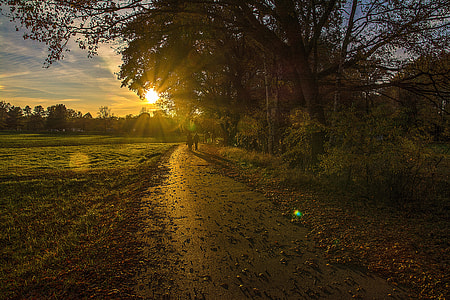 two person walking near trees and field during golden hour thumbnail
