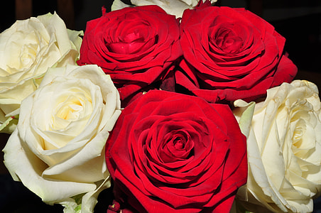 bouquet of red and white rose flowers thumbnail