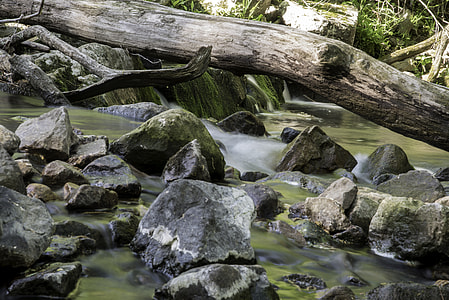 Log and Cascades at Baxter's Hollow, Wisconsin thumbnail