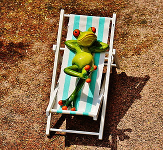 deck chair, beach, frog, summer, sun, relaxation thumbnail