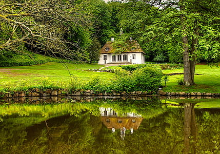 wood, landscape, holiday, landmark thumbnail