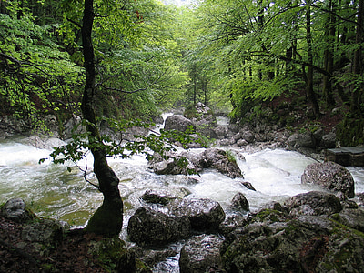 water falls surrounded by trees thumbnail