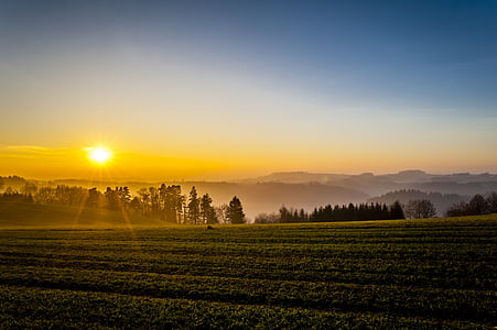 green field during golden hour thumbnail
