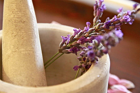 purple lavender flowers on beige mortar and pestle thumbnail