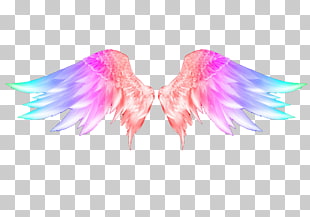 Snowflake Art Wing Feather , Colorful angel wings, orange, purple, and blue wings illustration PNG clipart