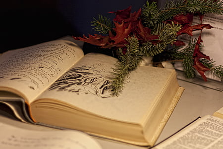 book on white table thumbnail