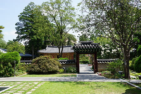 trees near pagoda during daytime thumbnail