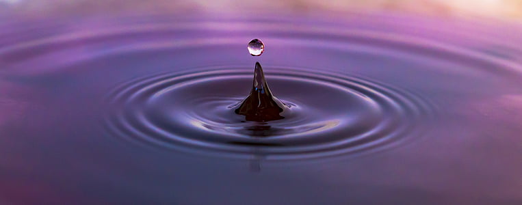 selective focus photography of water drops thumbnail