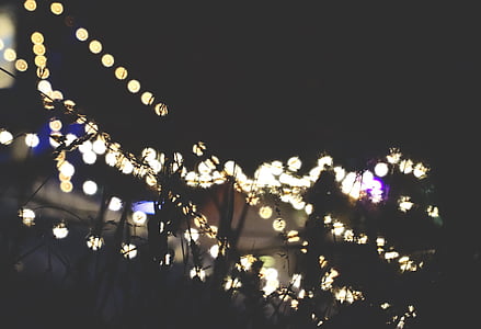 lighted string lights during nighttimes thumbnail