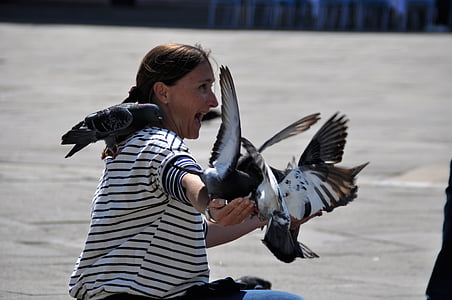 pigeons on woman at daytime thumbnail